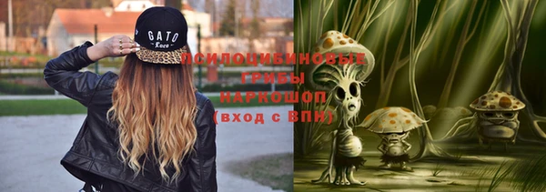 таблы Алзамай