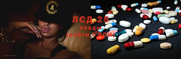 PSILOCYBIN Алексеевка