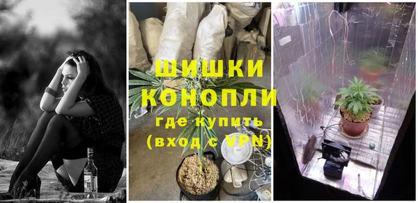 PSILOCYBIN Алексеевка