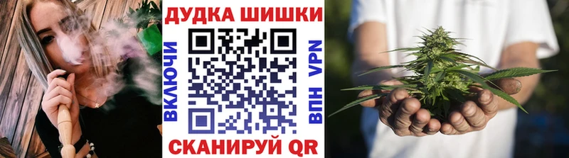 купить наркотик  Ивангород  Шишки марихуана сатива 